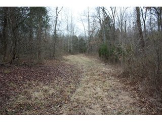 Property photo 9 - LAND AUCTION - 138+/- ACRES OFFERED IN 3 TRACTS IN SPENCER COUNTY, INDIANA